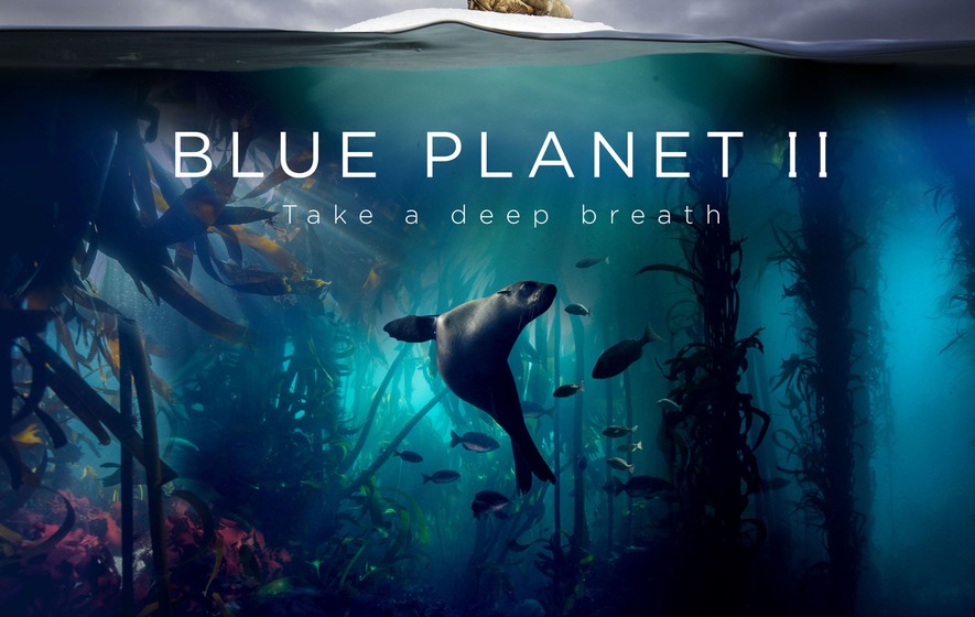 183035751-e05a6605-be57-4d45-9863-214a2fd2b18e