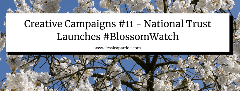 National Trust blossom watch campaign #BlossomWatch