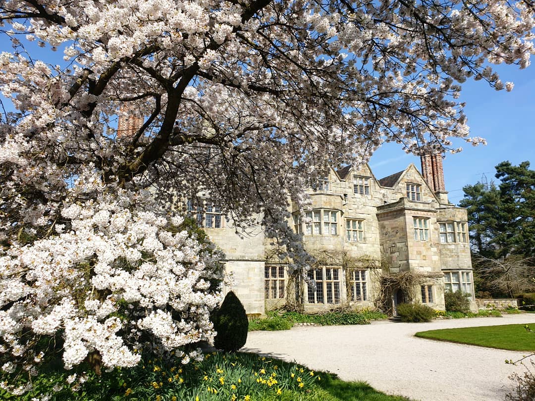 National Trust Blossom Watch