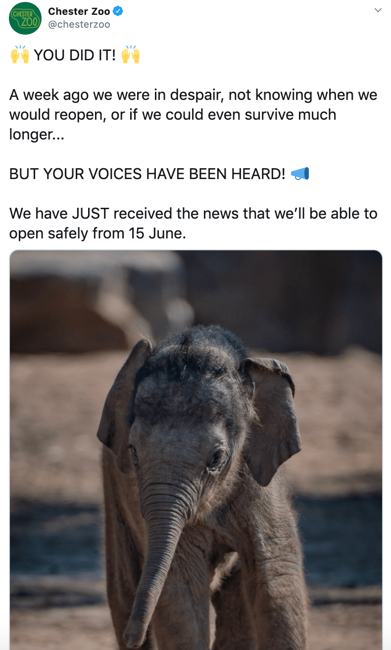Chester Zoo PR - reopening